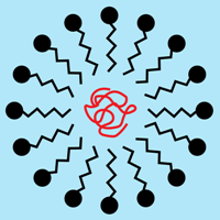 surfactant and polymer