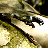 rusting jaguar