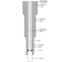 wellbore schematic
