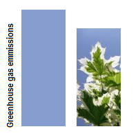 green house gas emissions compared