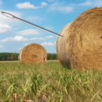 a needle in a haystack