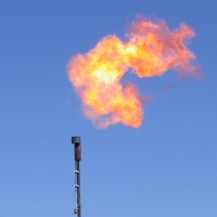 polymer and surfactant